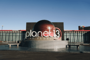 planet 13 stock